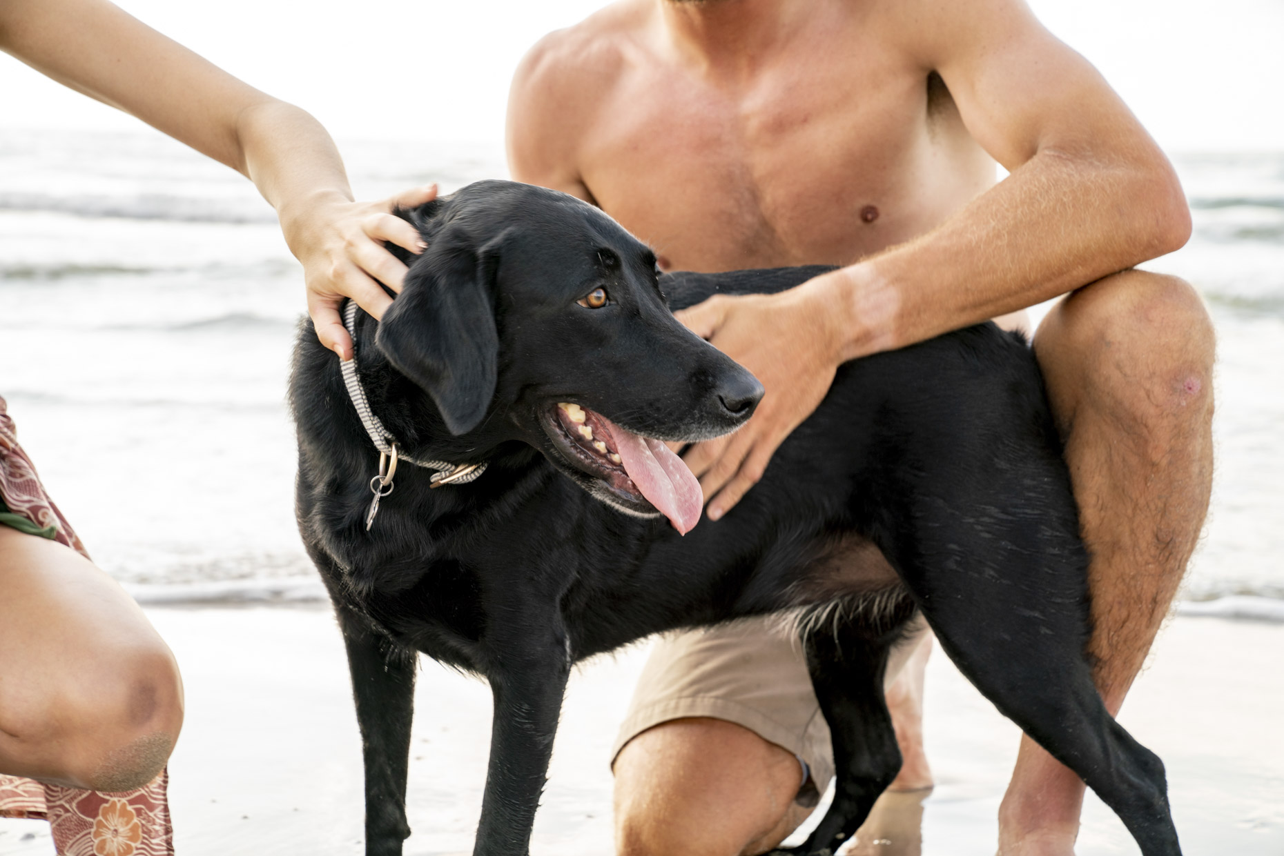 Couple with black lab dog on beach