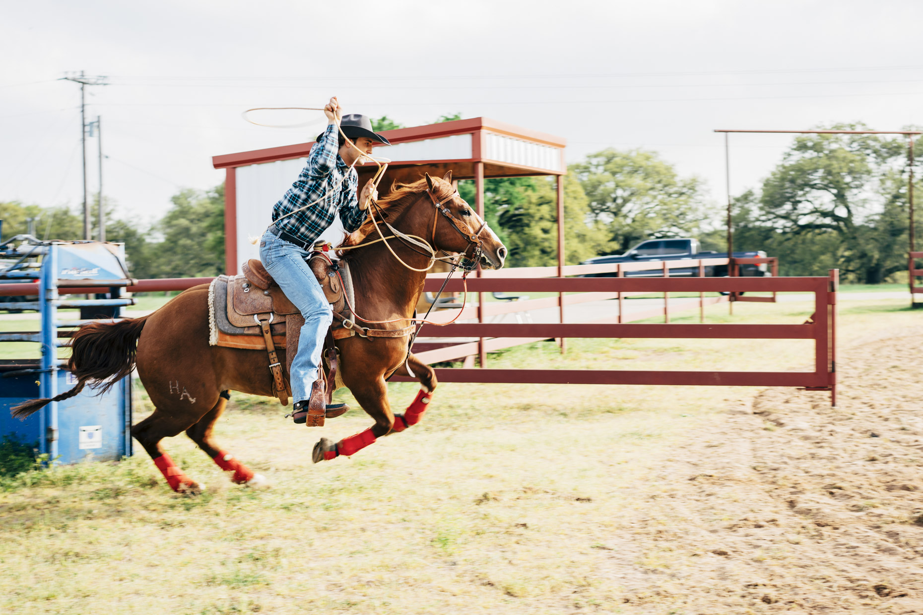 Cowboy riding horse into arena to rope calf