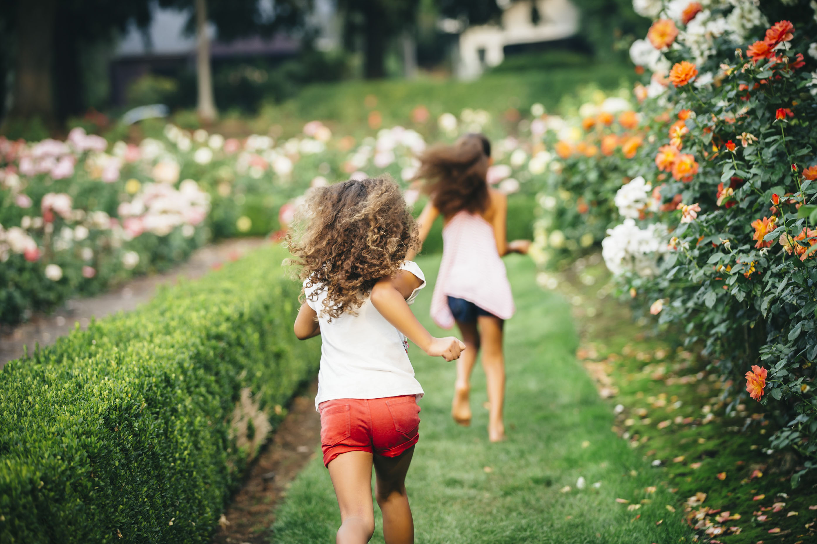 Girls-running-in-rose-garden-Inti-St-Clair-is201508233961