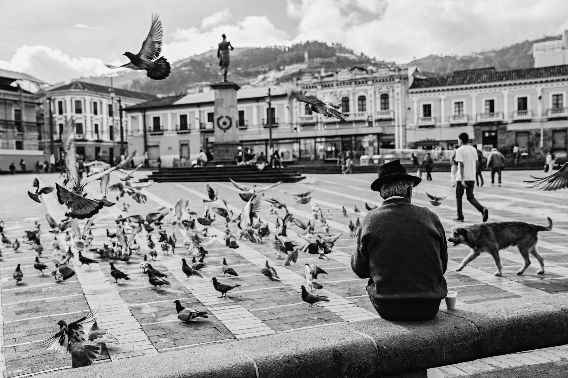 Man sitting in square in Quito, Ecuador surrounded by pigeons and a dog