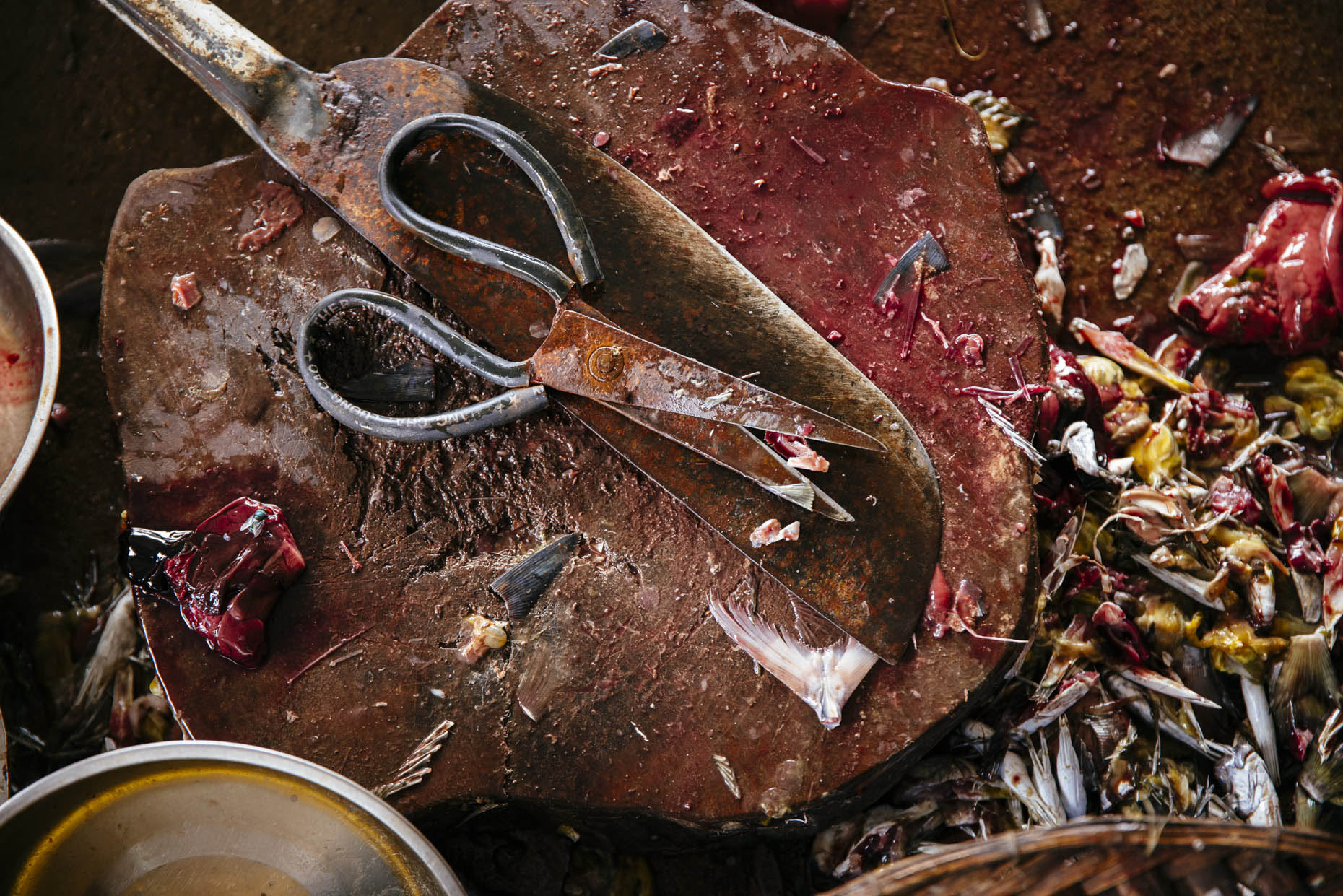 Rusted scissors and knife on block covered in fish blood and guts