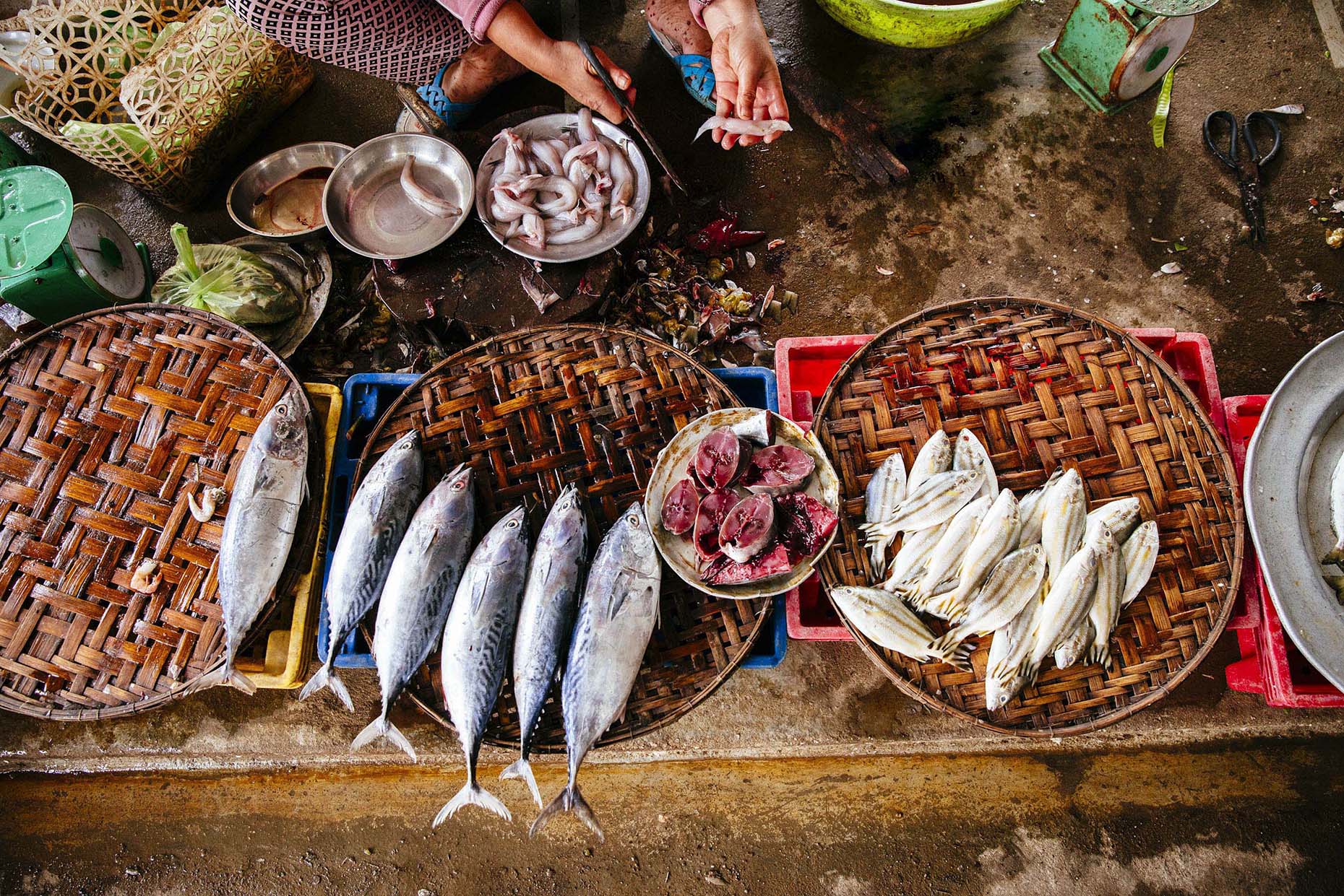 Woman-selling-fresh-fish-in-street-market-Inti-St-Clair-is201601150872