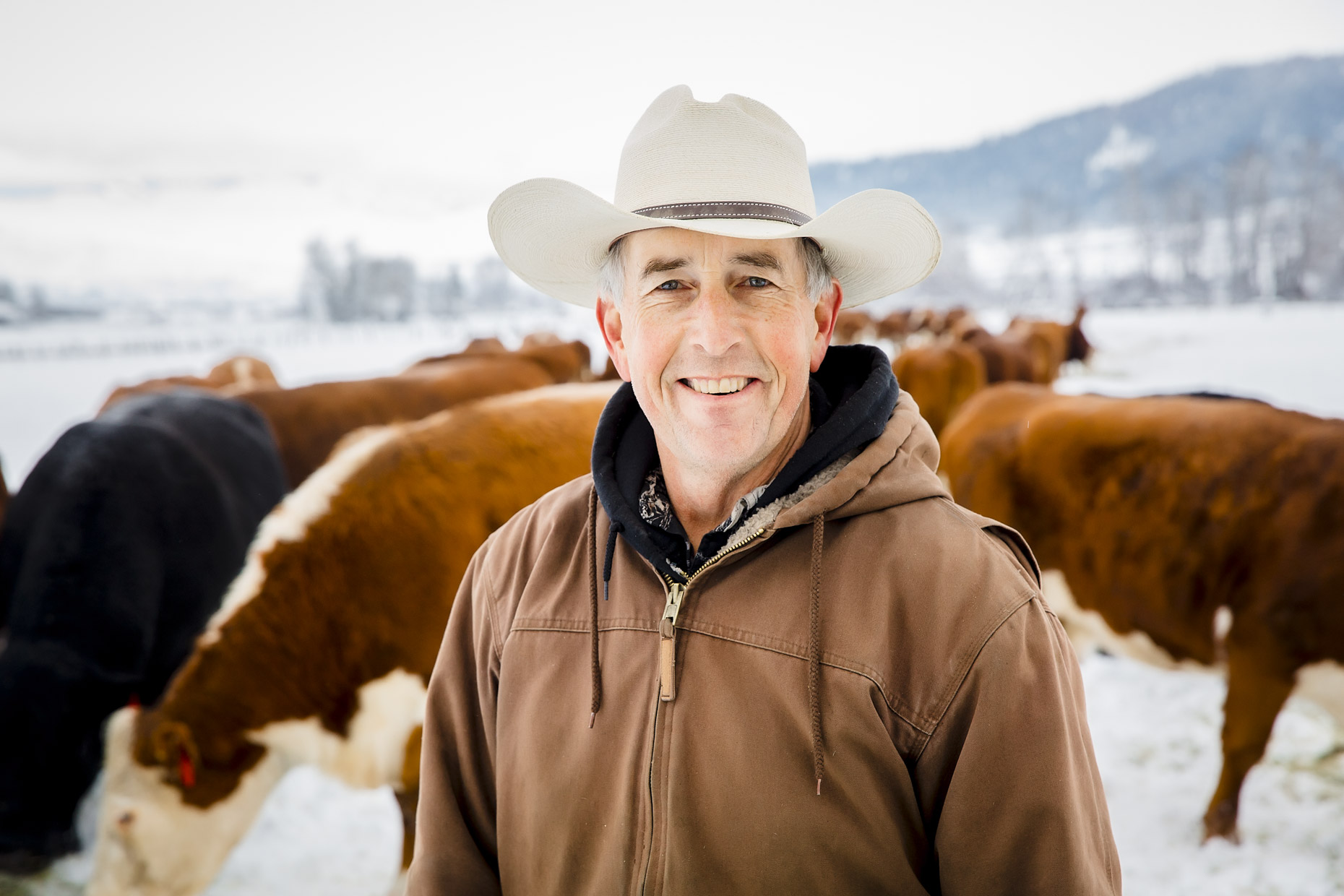 Smiling cowboy in hat surrounded by cows in field in winter